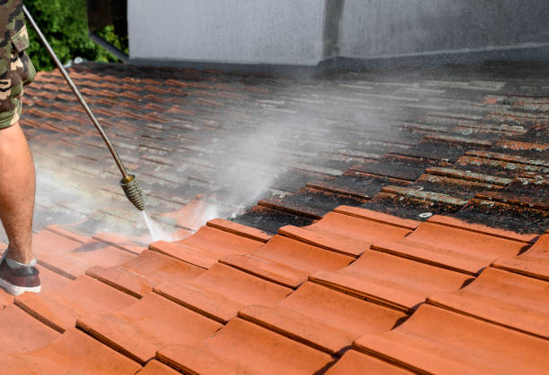 Best Roof Pressure Washing  in Matteson, IL