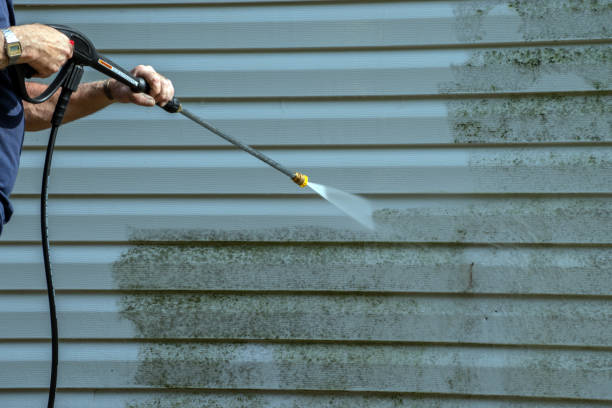 Best Roof Pressure Washing  in Matteson, IL